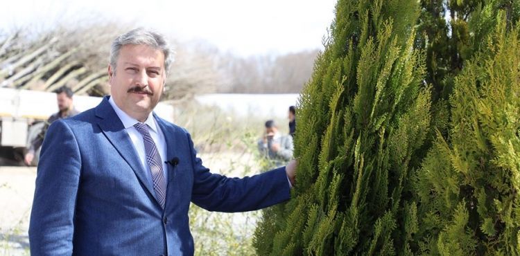 “FİDAN DEĞİL AĞAÇ DİKİYORUZ”