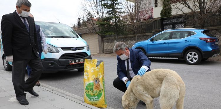 MELİKGAZİ'DE, SALGINA RAĞMEN SOKAK HAYVANLARI UNUTULMADI