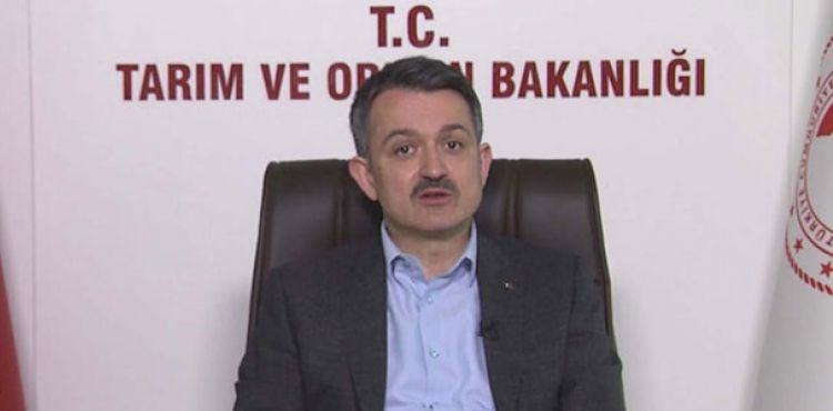 Bakan Pakdemirli: Tarm ve hayvanclk faaliyetlerinde bulunanlar sokaa kma yasandan muaf tutulacak