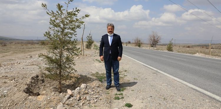 GÜZELKÖY VE GÜRPINAR YOLU YENİ AĞAÇLARLA ŞENLENECEK