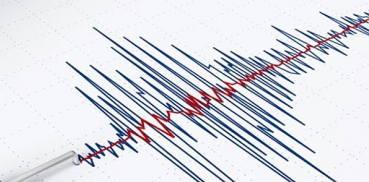 Muğla'da 3.8 büyüklüğünde deprem