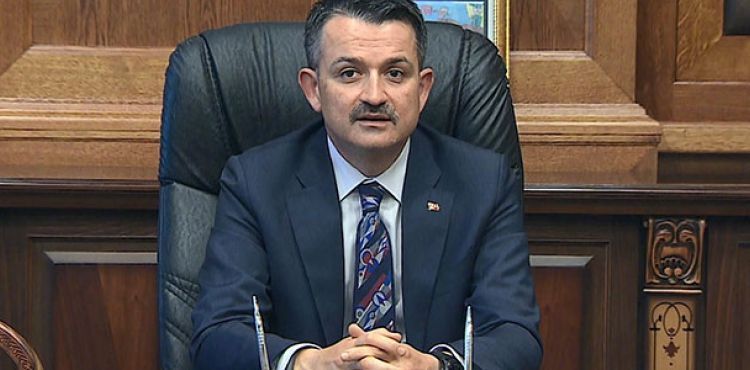 Bakan Pakdemirli: Bingöl'de telef olan hayvanları karşılama kararı aldık