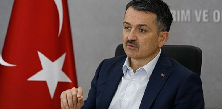 Bakan Pakdemirli: 71 projeye 71 milyon lira hibe sağlanacak