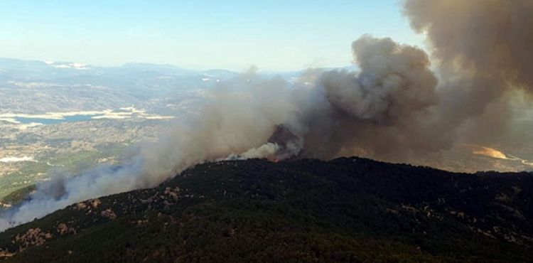 Aydn'da ormanlk ve makilik alanda yangn