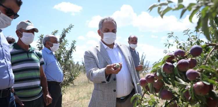 BAŞKAN YALÇIN’DAN BİLİNÇLİ TARIM TEŞVİKİ