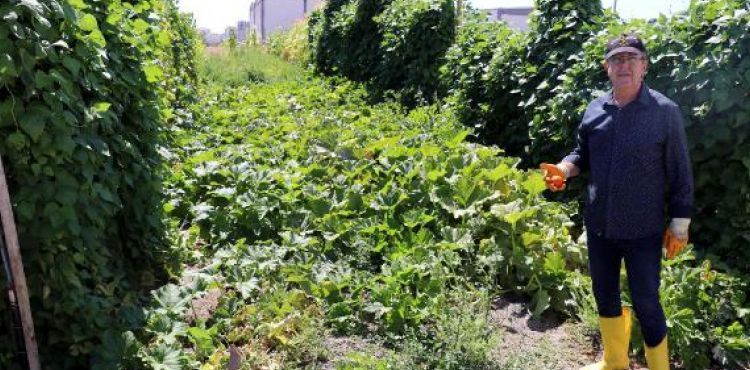 Kayserili çiftçi, 130 çeşit sebze yetiştirdi