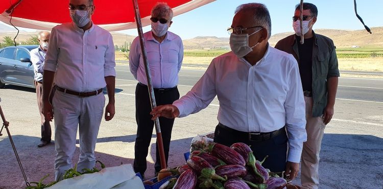 “PATLICAN DENİLDİ Mİ AKILLARA YAMULA GELİR”