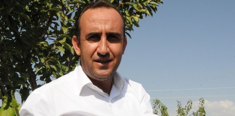 İncesu'da üzüm hasadı başladı