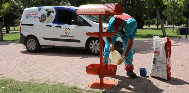 KOCASİNAN’DA HAYAT; TÜM CANLILAR İÇİN DEĞERLİ