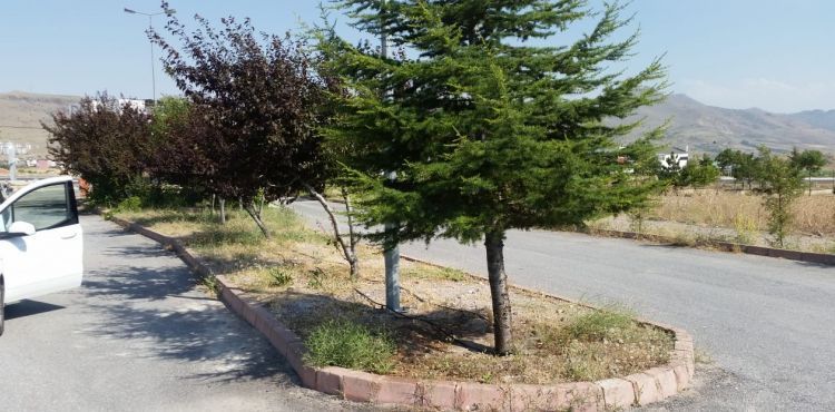 ÜNİVERSİTE BAHÇESİ’NE BÜYÜKŞEHİR DOKUNUŞU