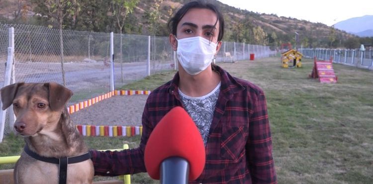 ‘PATİ YOLU’NA HAYVANSEVERLERDEN TAM NOT
