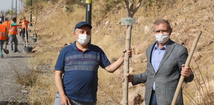 TALASLI MUHTARLAR ALİ DAĞI’NA AĞAÇ DİKTİ