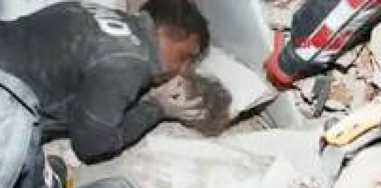 İzmir'in Bayraklı ilçesindeki Rıza Bey Apartmanı'nın enkazından 91 saat sonra 3 yaşlarındaki Ayla Gezgin isimli çocuk canlı olarak çıkarıldı. Küçük Ayda, ambulansla hastaneye kaldırıldı.