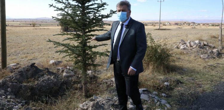 MELİKGAZİ’DE DİKİLEN YENİ AĞAÇLAR GELECEĞE NEFES OLACAK