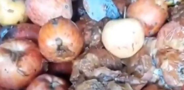 Bakanlıktan, çürük elmaların meyve suyu yapılacağı iddiasıyla ilgili inceleme
