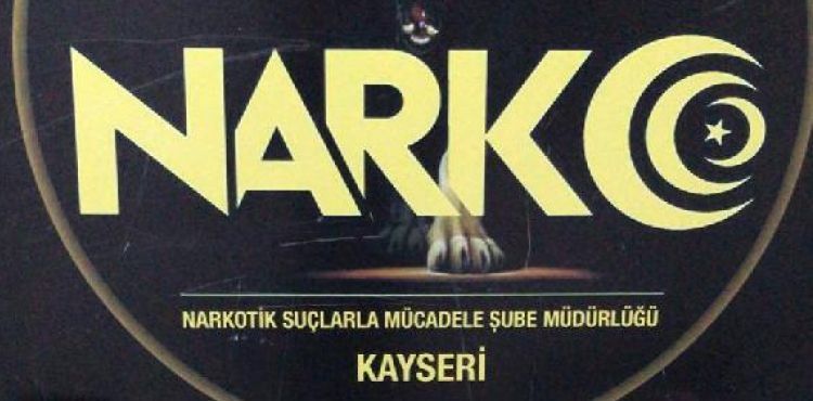 Otobüsteki valizin astarında bonzai ele geçirildi