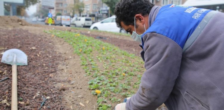 MELİKGAZİ’NİN KAVŞAKLARI KIŞINDA ÇİCEK AÇACAK