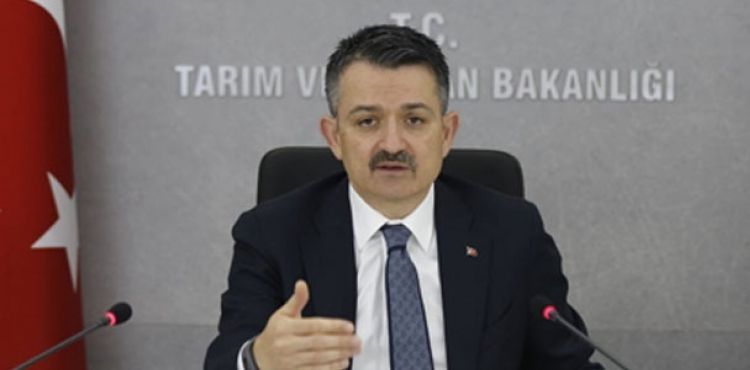 Bakan Pakdemirli: Balıkçılara 13,7 milyon lira destek ödemesini bugün yapacağız