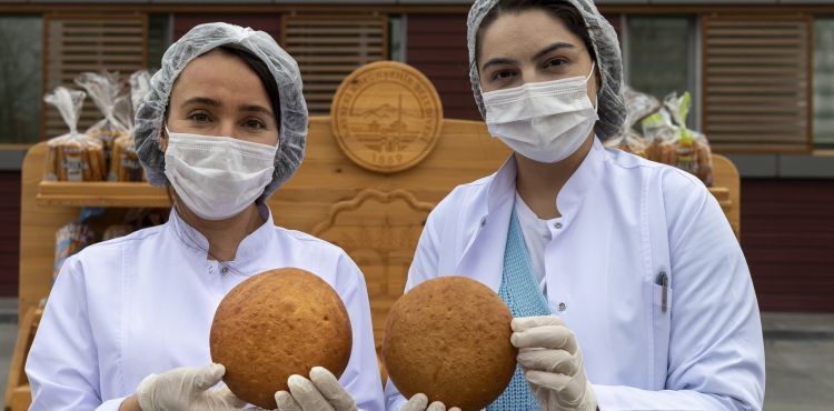 BÜYÜKŞEHİR’DEN GENETİĞİ BOZULMAMIŞ ATA TOHUMUNDAN; GACER EKMEĞİ