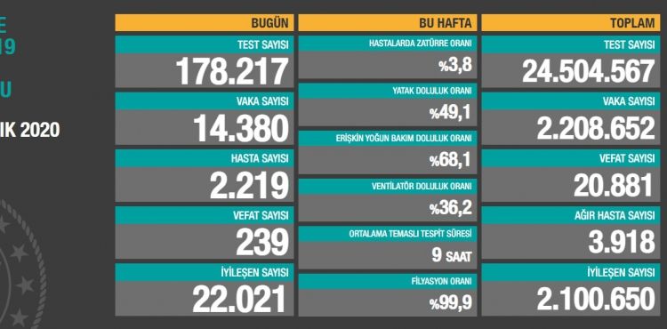 Koronavirüs salgınında can kaybı 20 bin 881'e yükseldi
