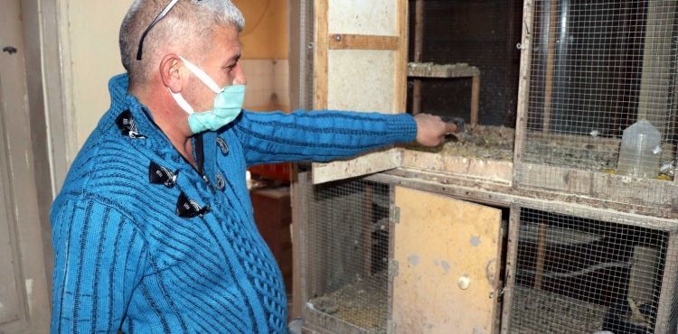 Kayseri’de güvercin hırsızlığı