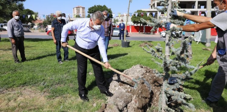 1 yıl da 70 Bin Ağaç Toprakla Buluştu