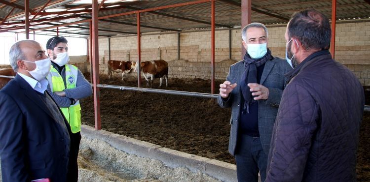 TALASLI ÜRETİCİLERE UZAKTAN EĞİTİM, YERİNDE SORU-CEVAP