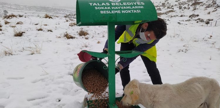 TALAS’IN SOKAK HAYVANLARI ÖZEL EKİBİ