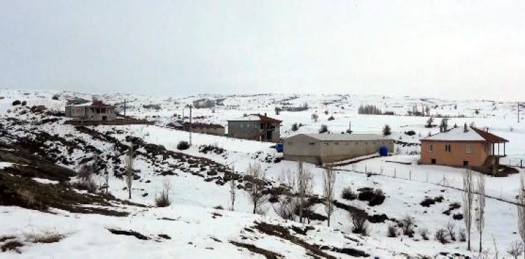 Kayseri'de mahalleye 'kuduz' karantinası