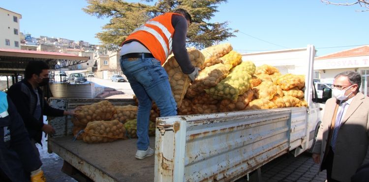 HACILAR BELEDYESNDEN HTYA SAHPLERNE  50 TON PATATES 