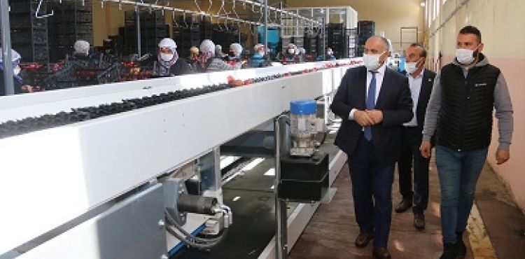 BAŞKAN ÖZTÜRK; “ELMA ÜRETİCİLERİNİN SORUNLARINI ÇÖZMEK İSTİYORUZ