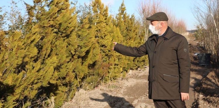 Başkan Çolakbayrakdar, fidanlıkta inceleme yaptı