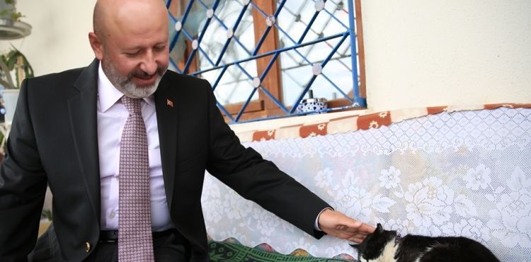 KOCASİNAN’DAN KÜÇÜK DOSTLARA SICAK BİR YUVA; ‘KEDİ KASABASI’