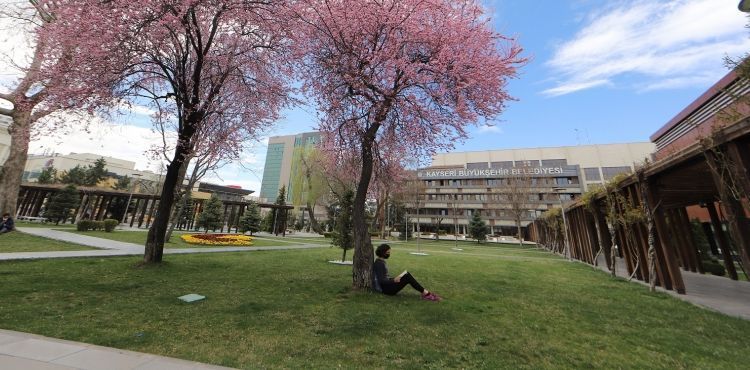 BÜYÜKŞEHİR, ŞEHRİ ÇİÇEK BAHÇESİNE ÇEVİRDİ