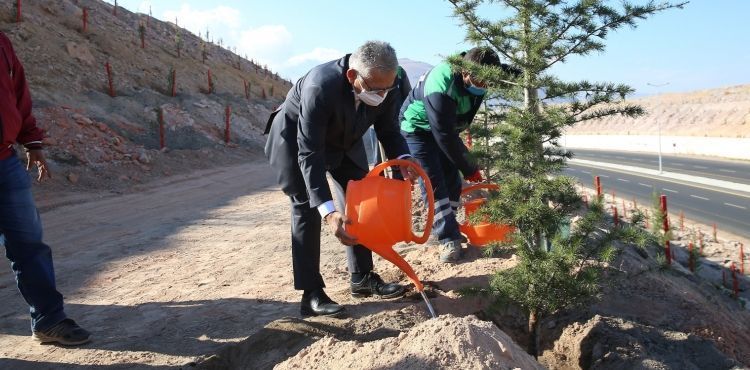 Büyükşehir Belediyesi Yeni Fidanlık yapacak