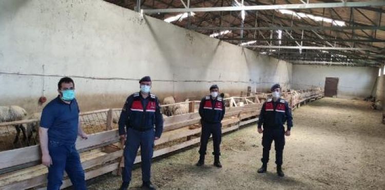 Kayseri'de 120 küçükbaş hırsızlığına 1 tutuklama