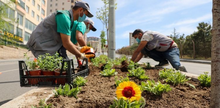 DÖRT BİN YANA 100 BİN ÇİÇEK; TALAS ÇİÇEK AÇIYOR