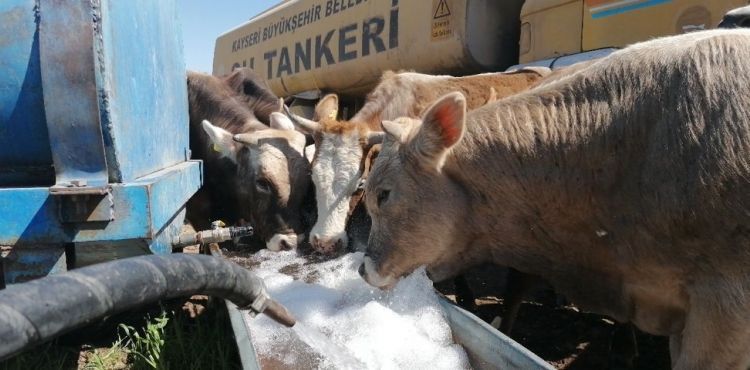 BAKAN BYKKILI, KARANTNADAK FTNN YRENE SU SERPT