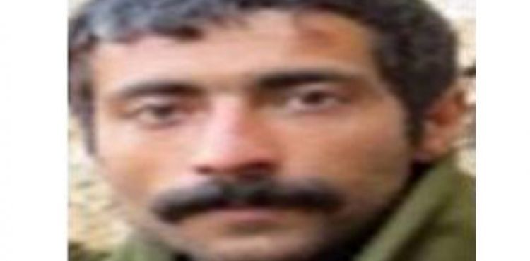 Mardin'de etkisiz hale getirilen 7 teröristten biri 'Gri' kategoride çıktı