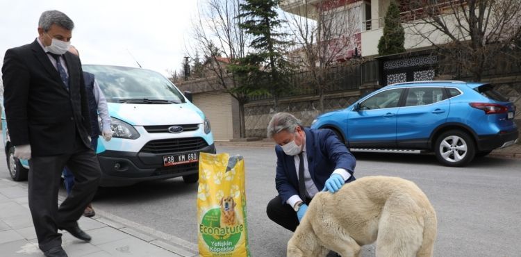 “PANDEMİDE SOKAK HAYVANLARI UNUTULMADI”