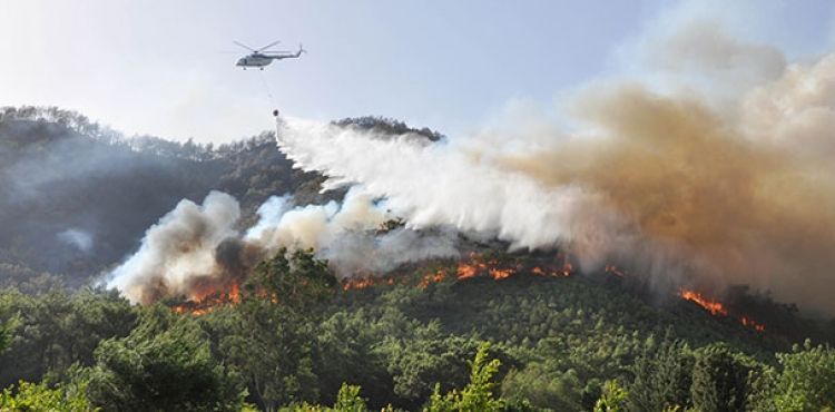 Antalya'da 3 gnde, 22 yangnda 80 dekar kl oldu