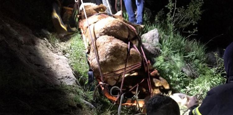 BÜYÜKŞEHİR İTFAİYESİ’NDEN 8 SAATLİK KURTARMA OPERASYONU