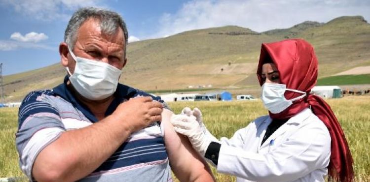 Çilek tarlasında korona aşısı