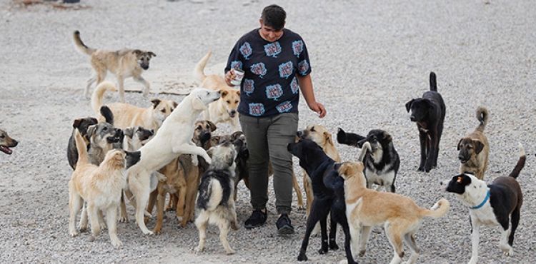 Liseli Berzan, sokak köpeklerine yuva kurdu