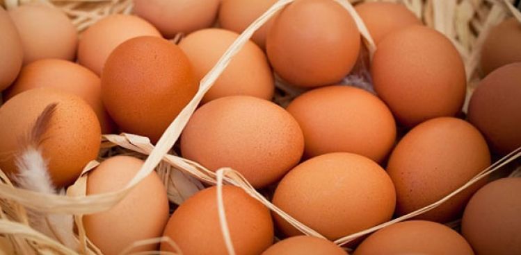 Organik yumurtayı ayırt etme yolları