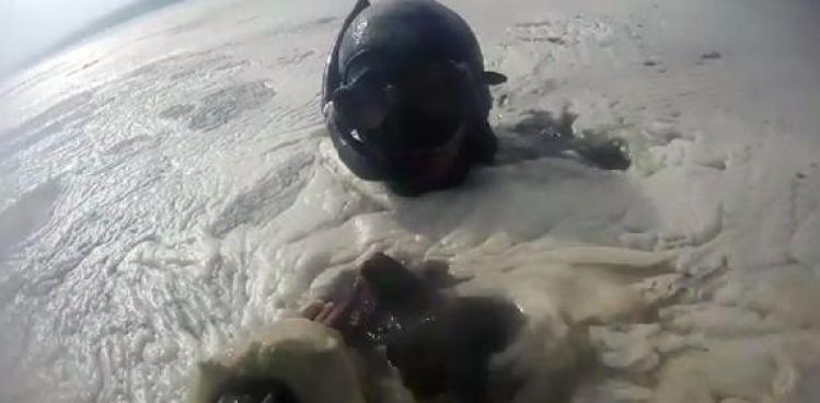 Müsilajın deniz altındaki tahribatı görüntülendi