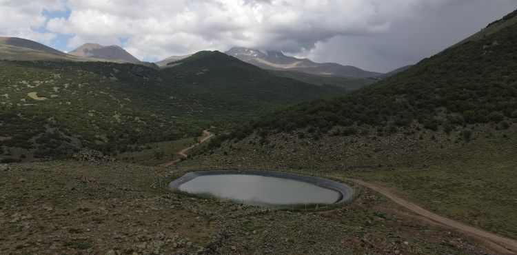 BYKEHRDEN ERCYESN ZRVESNDE HAYVANLAR N 4 AYRI GLET