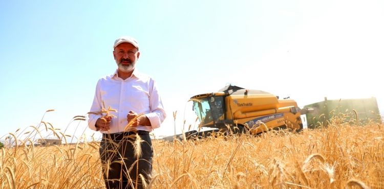TARIMIN MERKEZİ KOCASİNAN’DA ÜRÜNLER HASADA HAZIRLANIYOR
