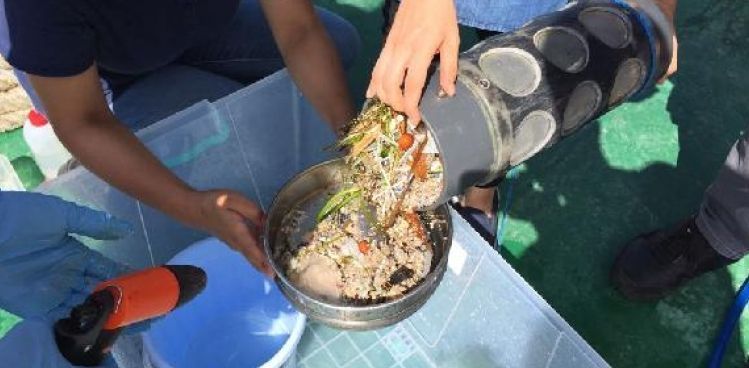 Akademisyenler araştırma gemisiyle açıldı, İstanbul Boğazı'nda plastik tehlikesini ortaya çıkardı