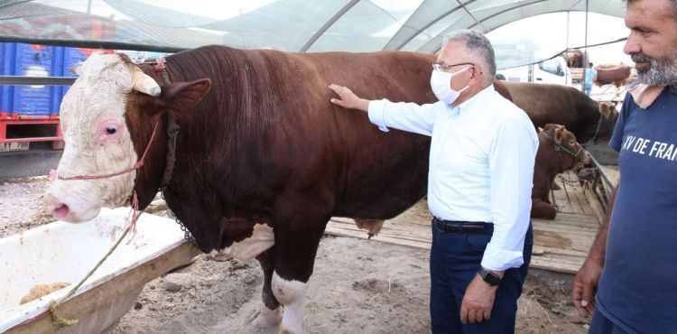 BAŞKAN BÜYÜKKILIÇ, KURBAN SATIŞ YERLERİNİ VE KESİM ALANLARINI İNCELEDİ